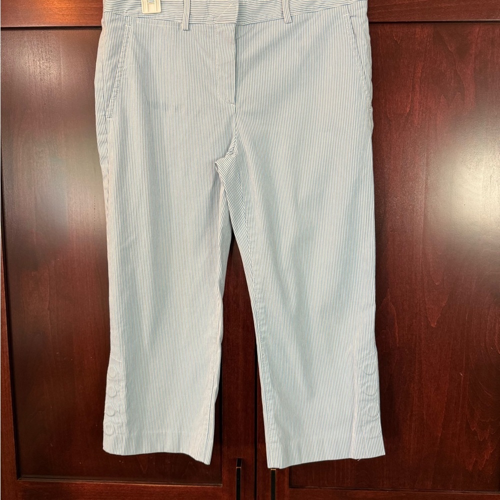 Theory Blue Striped Capris